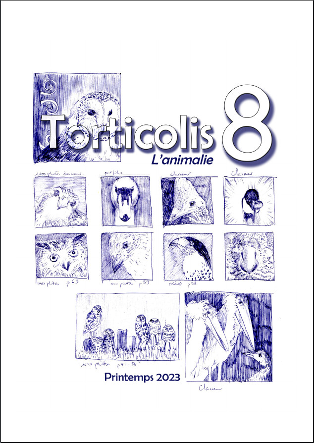 cover of Torticolis 8