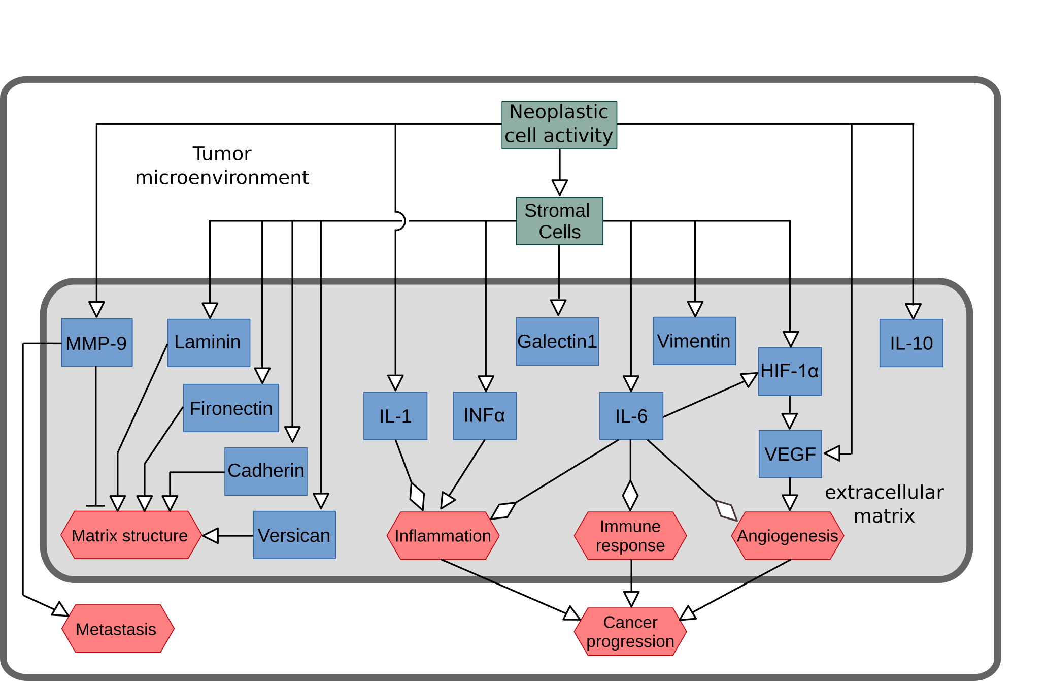 AF map of OSCC microenvironment regulation