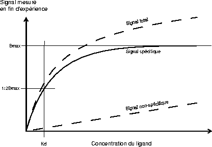 \includegraphics{langmuir.eps}